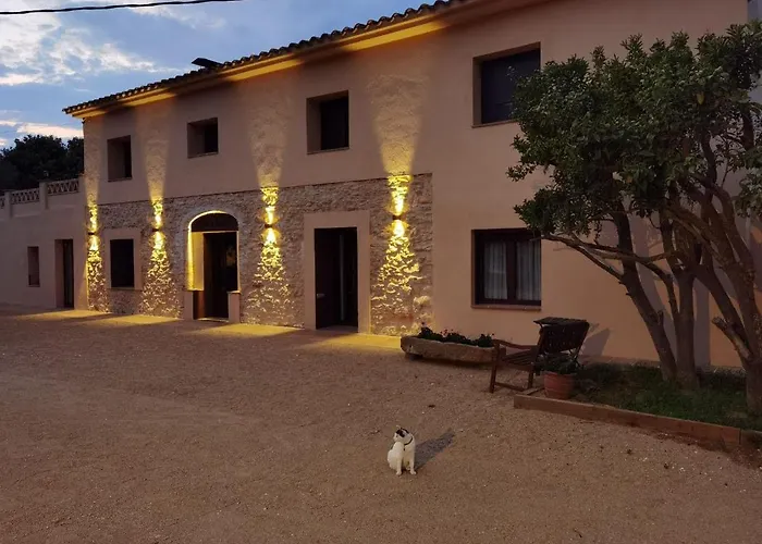 Costals Olivo Apartamento