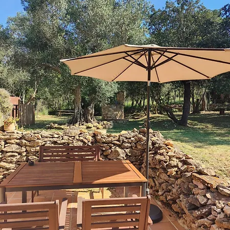 Appartement Costals Olivo